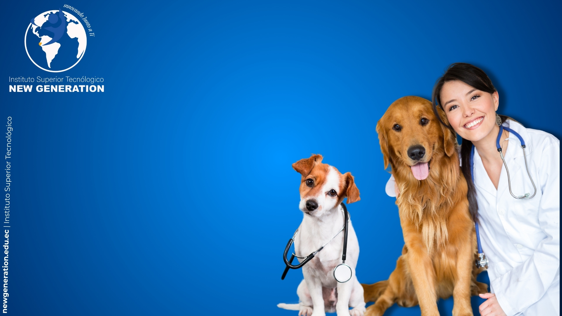 Imagen promocional de Electricidad New Generation